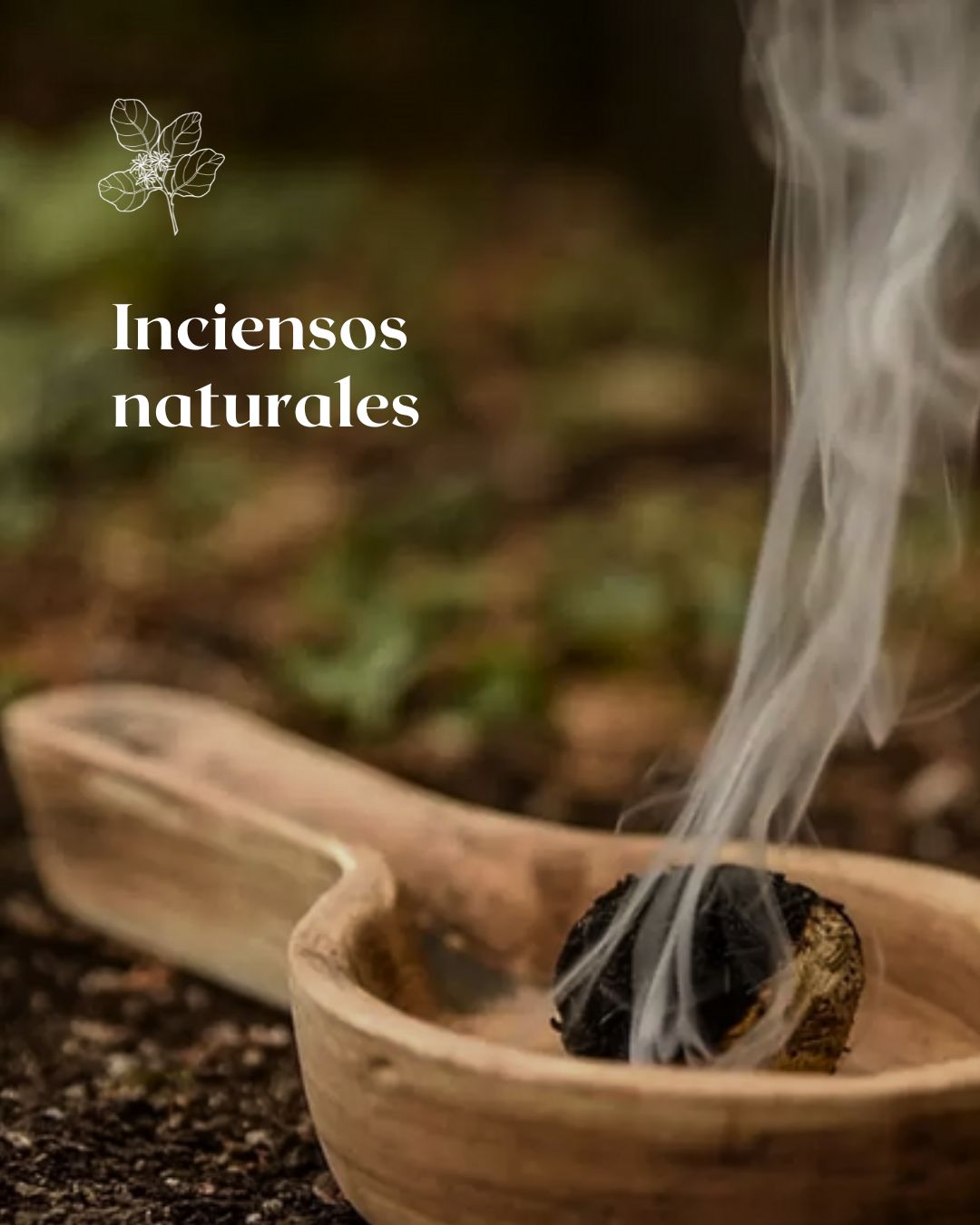 Ebook elaboración inciensos naturales