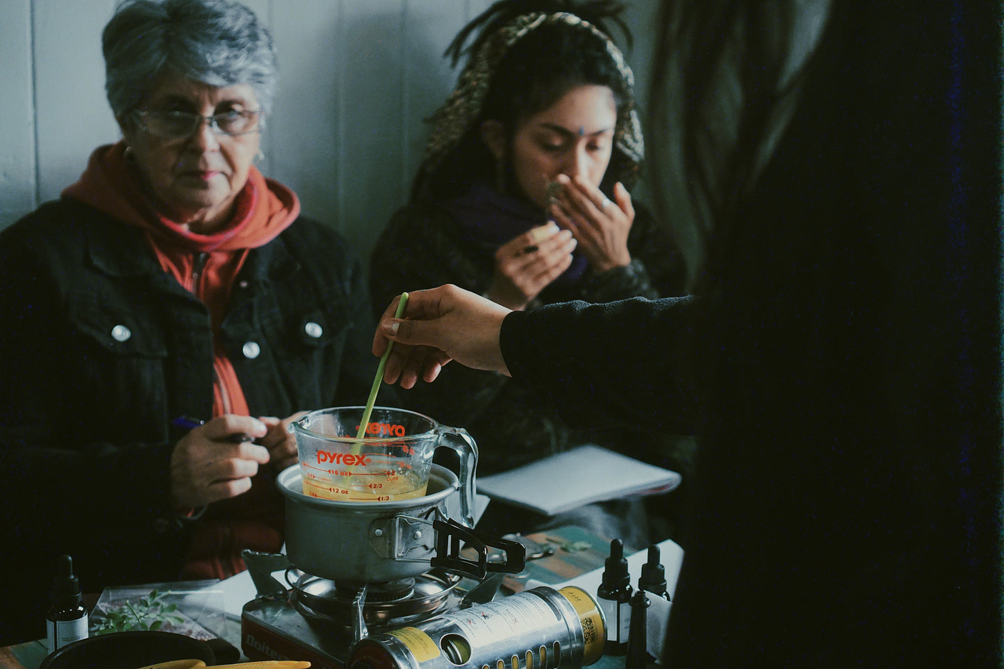 Taller online de introducción a la medicina herbolaria a bajo costo