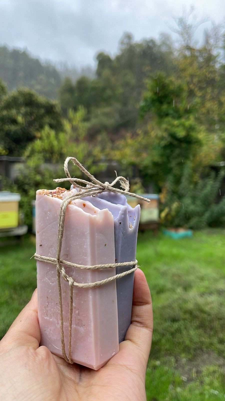 Taller online de Jabonería Artesanal 2026